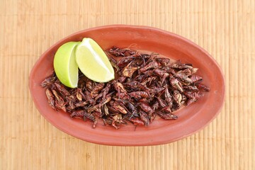 Mexican edible grasshoppers and lemon slices on traditional clay dish and straw background