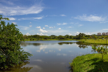 Uma paisagem do Parque Leolídio di Ramos Caiado na cidade de Goiânia com um pequeno lago e vegetação verde e fresca.