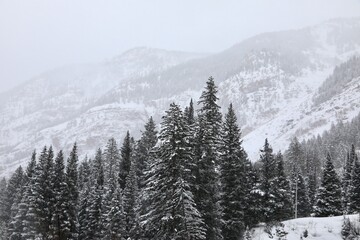 Winter storm in the rural mountains 