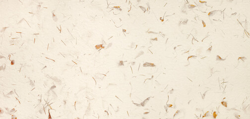 Handcrafted Cream Paper background with dried leaves