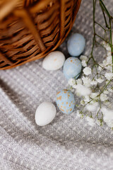 Fototapeta na wymiar A wicker brown basket on a gray linen napkin, are painted blue and white eggs and white small flowers. Spring background for Easter. Mock up. Space for text