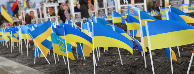 Ternopil, Ukraine - February 2023: Ukrainian yellow and blue flags on the avenue of memory of...