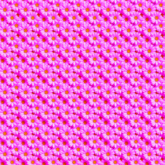 Seamless bright floral pattern