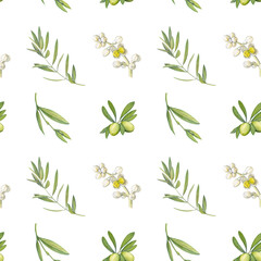 seamless pattern of watercolor drawings of green olives