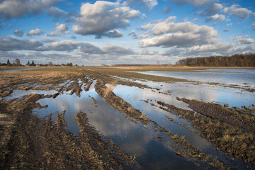 Fototapeta na wymiar Spring very wet agricultural field with puddles of water due to rain and melting snow.