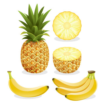 Banana And Pineapple Vector Design, Pineapple, Fruit, Food, Banana, Isolated, Tropical, Orange, White, Fresh, Healthy, Ananas, Ripe, Sweet, Fruits, Yellow, Object, Green, Diet, Juicy, Citrus, Eating