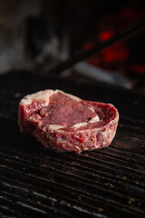 Carne a la Parrilla / Barbacoa / Carne grillada / Carne a las brasas.