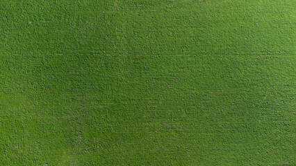 Texture d'herbe verte. Fond d'herbe verte naturelle prise d'un champ en vue de dessus