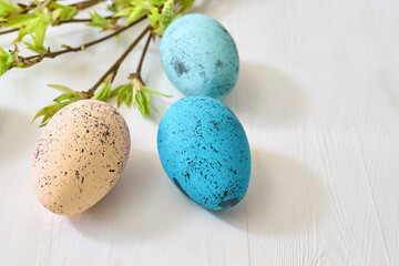 Branches with green leaves and easter eggs on a light background. Happy easter concept with copy space