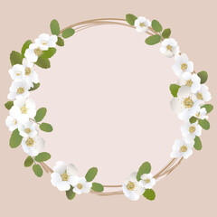 Decorative romantic frame of delicate white flowers and leaves in retro style, for holidays and celebrations