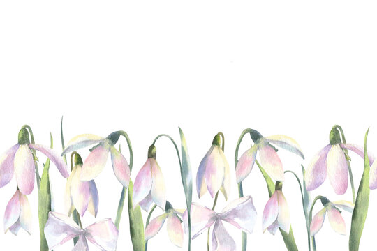 Seamless border of watercolor spring flowers of snowdrops. Hand painted botanical illustration. For design of postcards, walpapers, banners