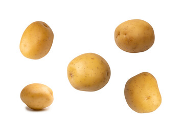 A group of fresh tasty potato isolated on white background.