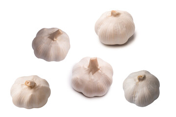 Garlic isolated on a white background.