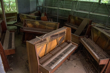 Piano shop in Chernobyl. radioactive vehicles graveyard in Chernobyl, summer season in exclusion...