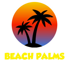 Obraz premium Beach palms summer holiday background