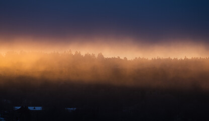 Snow in early sunrise over a forest.