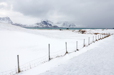 Obraz premium Harsh winter landscape in Lofoten Archipelago, Uttakleiv Beach, Norway, Europe. Cold landscape in Lofoten Islands.