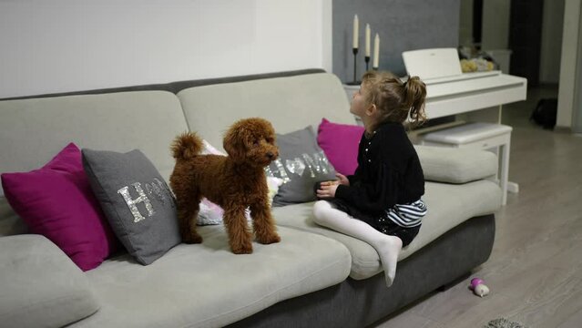 The girl is watching TV with a dog next to her