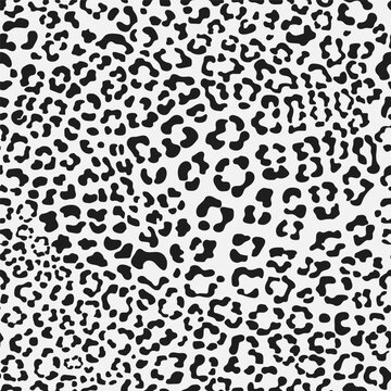 Black and white leopard seamless pattern. Fashion stylish vector texture. Vector