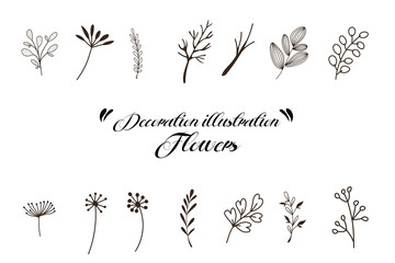 Decoration of petiole design of a set with transparent PNG file