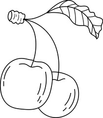Cherries with leaf in line art illustration Sketch art