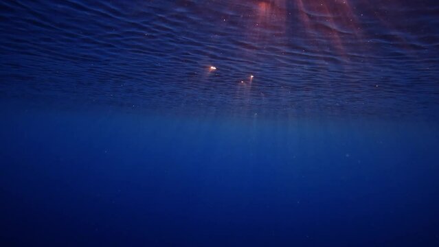 Underwater video of the ocean surface with waves and sunlight in the water