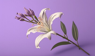  a white flower with a green stem on a purple background with a shadow of the flower on the left side of the frame, and a green stem on the right side of the.  generative ai