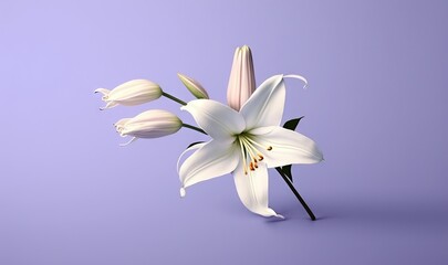  a group of white flowers sitting on top of a purple table top next to a purple wall with a purple background behind it and a single flower in the center of the middle.  generative ai