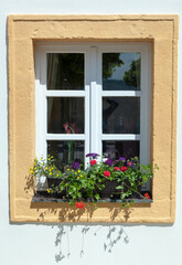 Fototapeta na wymiar Melk Town Shop Window With Flowers