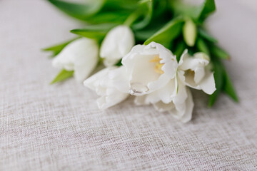 Fototapeta na wymiar An engagement ring in white gold with a diamond lies in a bouquet of white tulips. Gift for Women's Day, Valentine's Day. Beautiful spring background with flowers