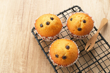 Delicious Vanilla Muffins with choco chips
