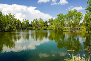 A picturesque lake in Belmar Park, Colorado with reflections of a blue sky, white clouds and a...