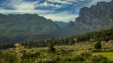 Verdes prados entre las montañas.