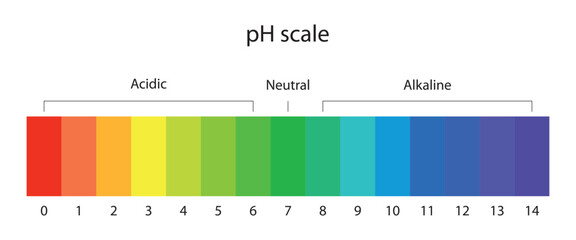pH scale. Acid and base solutions - obrazy, fototapety, plakaty