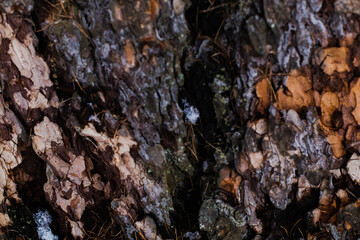 texture