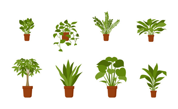 Home flowerpot plants vector illustration set. Indoor house office green decoration nature lifestyle clip art flat style collection
