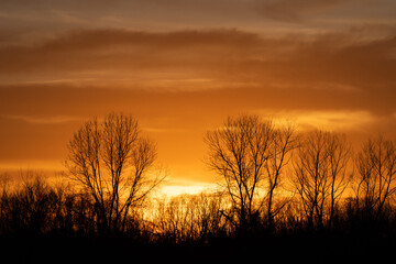 Bare, leafless trees on the horizon silhouetted by the fiery orange clouds and sky during the golden hour at sunset.