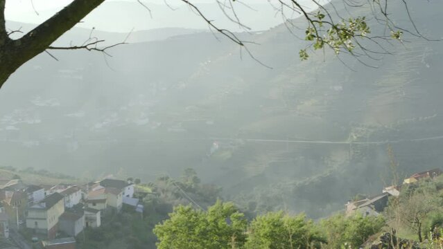 misty morning in the valley