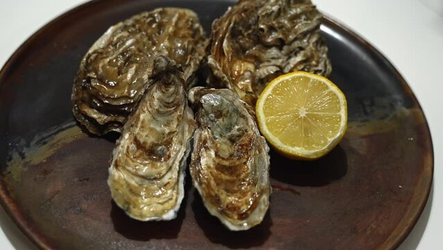 four oysters with a lemon on a plate, delicate dish. High quality 4k footage
