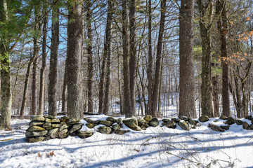 the new england winted landscape