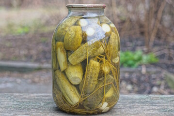 one large glass jar with green canned cucumbers stands on a gray table in the street