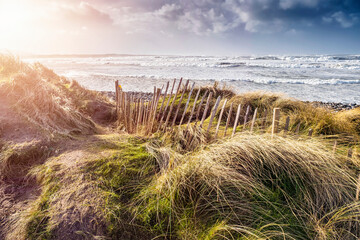 Tall grass and wooden fence on a dune by the ocean, blue cloudy sky. Beautiful nature scene. Irish coastline in county Sligo.