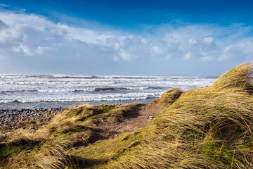 Tall grass and wooden fence on a dune by the ocean, blue cloudy sky. Beautiful nature scene. Irish...