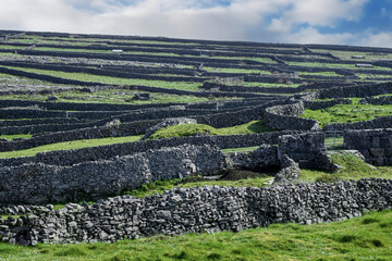 Nature landscape with traditional stone fences and green agriculture field. Warm sunny day. Aran...