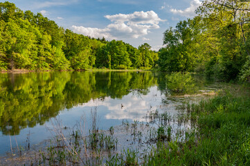 Fototapeta na wymiar A Perfect Afternoon at Lake Williams, York County Pennsylvania USA, Pennsylvania