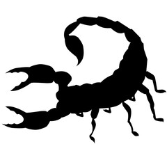 scorpion silhouette - obrazy, fototapety, plakaty