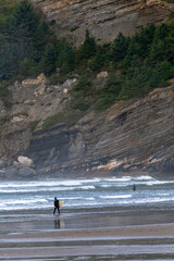 A couple of surfers enters the water with his board, at Oswald West State Park