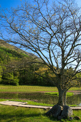 Obraz premium 姫逃池