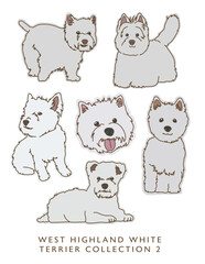 West Highland White Terrier Color Illustrations in Various Poses Collection 2