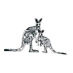  black and white sketch of kangaroo with transparent background